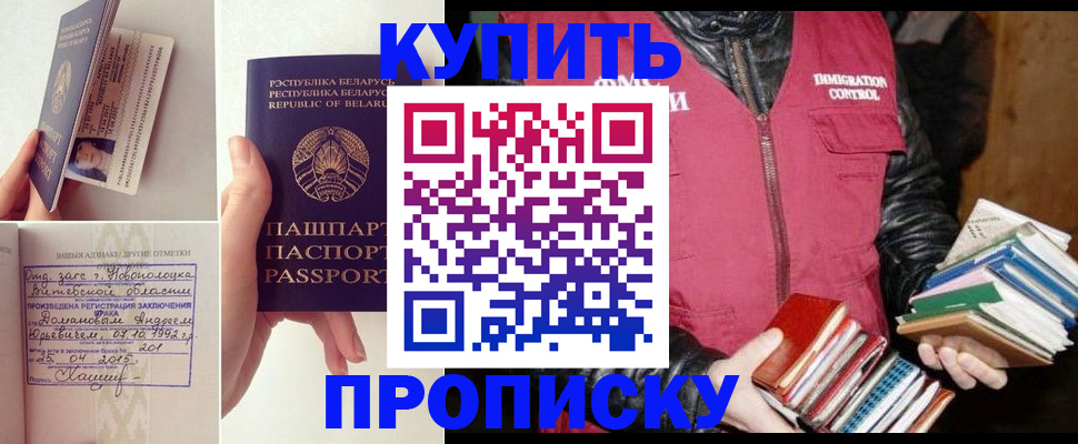 временная регистрация для всех в Светлограде